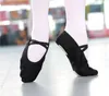 Women Pointe Dance Shoes for Men Girls Children Kids Ballet Yoga Flat Slippers Soft Soles Training Shoe Cat Paw