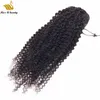 Kinky Curly Ponytail Hair Extensions Brasilianska Virgin Drawstring Ponytails för Black Women Natural Color 10-30Inch