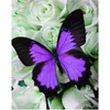 5D DIY vlinder diamant schilderij huisdecoratie mozaïek cadeau3879557
