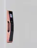 Anti-stöld Smart Dörr Ansiktsigenkänning System Lås Ansikte Fingeravtryck Automatisk Lösenord Golden Black + Exquisite Retail Box