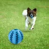 Baule de jouet de chien Durable MintScentreted Ball Ball Toys Dispensing Educational Food Feeding Ball For Puppy Cats9334175