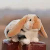 Simulation Hase Hase Langohrrandgef￼llte Puppe Wei￟ Kaninchen Pl￼sch Spielzeug Tier Puppenwagen Dekoration Urlaub Geschenke 27cm Dy50877223b
