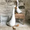 50 cm Cute Cotton Goose Pieno giocattoli di peluche per bambini che accompagnano bambole bambole per peluche per le bambole morbide per la casa Nordic Accessori per la casa Nordic M1505041