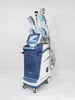 Cryolipolysis 슬리밍 기계 Cryo + Lipo 레이저 + 40K Cavitation + RF 동결 더블 턱 제거를 둘러싼 최신 360 각도