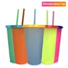 24oz Color Changing Cup Magic Plastic Drinking Tumblers with Lid and Straw Reusable Candy Colors Cold Cup Summer Water Bottle By DHl