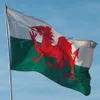 В складе 3x5ft 90x150cm Vishing Red Dragon Wales Flag и баннер для украшения1629222