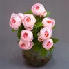 Falso Primavera Camellia (15 cabeças / grupo) 21.65" Comprimento Simulação Tea Rose para casa casamento decoração flores artificiais