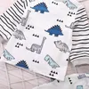 Newborn Kids Baby Girls Boy Clothing Striped TopsCartoon Dinosaur Clothes Sets Pants Infant Rompers Pleasant Children039s Cost8272311