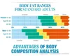 Analyseur de graisse corporelle complète/analyseur de graisses de composition