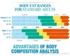 전신 지방 분석기 / 바디 스캐너 컴포지션 지방 분석기