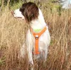 Pettorale posteriore per cani nuova cintura toracica regolabile per escursioni all'aria aperta cinghia toracica per cani di grossa taglia guinzaglio riflettente forniture per cani all'ingrosso