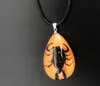 12pcs Natural Insect Fluorescent Necklace Black Scorpion Luminous Pendant Necklace Glow In The Dark Jewelry Party Gift ps04641905118