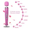 Black Wolf 10 Speed Vibrator Sex Toy Product Magic Wand Travel Gspot stimulation Massager Wired Style Personal Body Y2006166730113