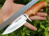 Topkwaliteit FreeWolf Outdoor Survival Rechte jachtmes 8Cr13Mov Satin Blade Palissander Handvat Vaste mes met lederen schede