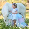 Lovely Flower Girls Dresses Short Sleeve Lace Appliques Kids Formal Wear Custom Made Hollow Back Hi-Lo Birthday Toddler Girls Pageant Gowns