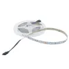 10 m 5050 SMD 30LEDS RGB LED Strip Light + 44Key 2 Poort 12A Afstandsbediening + 12 V 3A Voeding DIY Kleur Opties Tape Lights