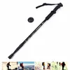 alpenstock walking stick