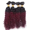 Mode jungfräuliche verworrene lockige Non-Remy Haarverlängerungen Ombre Weave 1b 99j Dark Root Red