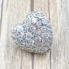 Sparkling Mönster Heart Single Stud Earring Autentic 925 Sterling Silver Studsfits European Pandora Style Studs Jewelry Andy Jewel 298568C01