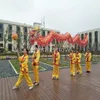 7M Storlek 5 för 6 Student Mascot Costume Silk Fabric Chinese Spring Day Dragon Dance Original Folk Festival Celebration Prop1621762