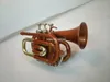 Nytt märke Mini Pocket Trumpet BB Flat Copper Brass Finish Musical Instrument With Case Tillbehör Gratis frakt