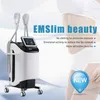 Emslim Body Scult Slim Beauty Machine 전기 자기 근육 훈련 EMS 장치 기기 수리