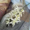 Fiore finto di orchidea Cymbidium a stelo corto corto (10 teste / pezzo) Simulazione di cicala per fiori artificiali decorativi per matrimoni domestici