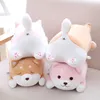 36 55 centimetri Carino Grasso Shiba Inu Cane Peluche Ripiene Morbido Kawaii Animale Del Fumetto Cuscino Bel Regalo Per I Bambini Del Bambino bambini di Buona Qualità