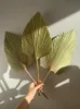 1 PC Fan Palm Fan Leaf Suszone Kwiat Palm Liść Okno Recepcja Party Art Wall Wiszące Dekoracje Wedding Arch Eugement