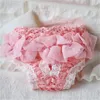 Chiffon Design Pet Dog Panties Strap Sanitary Dog Underwear Diapers Lace Edge Physiological Pants Puppy Shorts