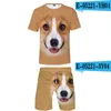 Mäns Tracksuits Casual Lämplig Animal Hund Hip Hop T-shirt + Strand Shorts Män Kvinnor Sommar 3D Print Boys Girls Two-Pite Cool Sets