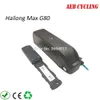 1000W 750W 500W 52V 21Ah 20Ah 19Ah 17Ah 15Ah USB Hailong MAX down tube batería de bicicleta eléctrica para bicicleta de neumáticos gruesos con cargador