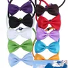 Husdjur tie hund slips krage blomma tillbehör dekoration leveranser ren färg bowknot slips hund grooming verktyg rra2081