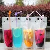 Clear Drink Pouches Bags Frosted Zipper Stand-up Disposable Plastic Drinking Bag with Straw with Holder Reclosable Heat-Proof 17oz