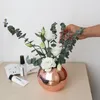 Нержавеющая сталь Vase Mental Круглый Горшок Золотой Черный плантатор сочной Зеленый завод Бонсай Pot Полированный Горшок