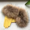 Women039s Genuine Leather Gloves Real Raccoon Fur Gloves Fur Big Raccoon Sheepskin Female Winter Velvet Warm Touch6072182