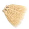 Péruvien Brésilien 5 Bundles Kinky Curly Double Trames 100% Extensions de Cheveux Humains 613 # Couleur Blonde 10-30 pouces
