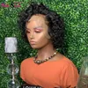 Afro Kinky Curly Wig Human Hair Pre Plucked Short Human Hair Wigs Pre Plucked 4x4 Closure Wig Human Hair Wigs Brazilian 130 Remy
