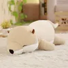 1 st 60 cm söt Otter fylld ned bomullsdjurkudde Kawaii Sea Otter Toys for Children Barn Girls Christmas Birthday Present MX20072015300