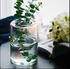 Nordic ins transparenta glas vaser vardagsrum arrangemang torr blomma liten färsk hushåll hydroponic blomma vas