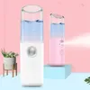 2020 hot Spray Moisture Meter Portable Beauty Instrument Humidifier Rechargeable Moisture Meter Spray Instrument dhl free