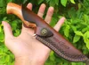 Freewolf utomhus överlevnad rakt jaktkniv 8Cr13 satin blad Rosewood handtag fast blad med läder mantel