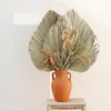 1pc Palm Fan Blad Gedroogde bloem Palm Blad Venster Receptie Party Art Muur Opknoping Decoratie Huwelijksboog Arrangement