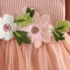 Vestiti della neonata Vestiti delle ragazze ricamati Abiti in tulle di fiori Abito da principessa a maniche lunghe Boutique Abbigliamento per bambini 3 colori opzionale AT4655