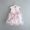 Kids Designer Clothes Girls Flower Dresses Butterfly Printed Princess Dress Sleeveless Toddler Girl Tulle Dresses Boutique Kids Clothes 4125