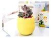 Mini Round Plastic Succulent Växtblomma Pott Trädgård Hem Office Desktop Decor Micro Landscape Planter Unbreakable Flowerpot