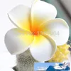 hawaiianer blumen plumeria.