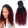 Mode jungfräuliche verworrene lockige Non-Remy Haarverlängerungen Ombre Weave 1b 99j Dark Root Red