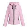 2020 Kvinnor Vinterjacka Höst Hooded Coat Kvinna Kort Spring Jacka Kvinnor Padded Cotton Parkas Casual Student Basic Jackor