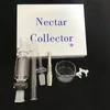 Nectar Collector Kit Glass Wskazówki z tytanem i kwarcowym paznokci